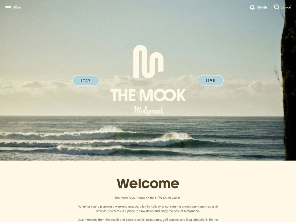 The Mook Shopify store